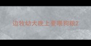 边牧幼犬晚上要喂狗粮