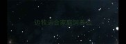 边牧适合家庭饲养么