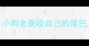 小狗老是咬自己的尾巴
