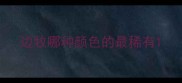 边牧哪种颜色的最稀有