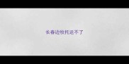 长春边牧托运不了