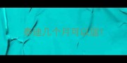泰迪几个月可以遛