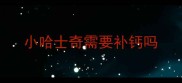 小哈士奇需要补钙吗