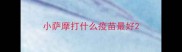 小萨摩打什么疫苗最好