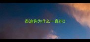 泰迪狗为什么一直抖
