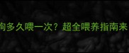 2个月大的狗狗多久喂一次超全喂养指南来了新手必看