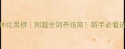 美国猫咪品种红黑榜附超全饲养指南新手必看选猫避坑手册