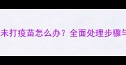荷兰猪咬人未打疫苗怎么办全面处理步骤与疫苗建议