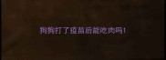 狗狗打了疫苗后能吃肉吗