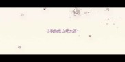 小狗狗怎么吃东西