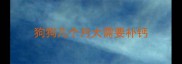 狗狗几个月大需要补钙