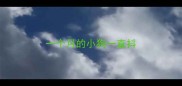 一个月的小狗一直抖