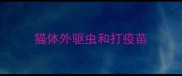 猫体外驱虫和打疫苗