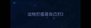 边牧打疫苗自己打