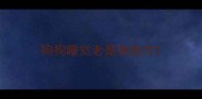 狗狗睡觉老是换地方