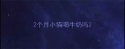 2个月小猫喝牛奶吗