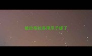 被拉布拉多用爪子抓了