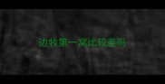 边牧第一窝比较差吗