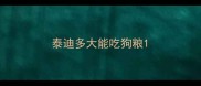 泰迪多大能吃狗粮