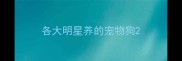 各大明星养的宠物狗