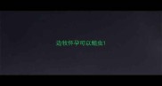 边牧怀孕可以蛆虫