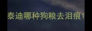 泰迪哪种狗粮去泪痕
