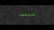 小狗能喝生羊奶吗