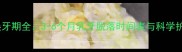 雪纳瑞换牙期全3-6个月乳牙脱落时间表与科学护理指南