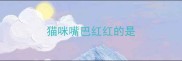 猫咪嘴巴红红的是