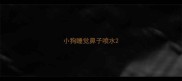 小狗睡觉鼻子喷水