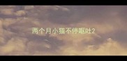 两个月小猫不停呕吐