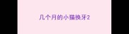 几个月的小猫换牙