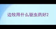 边牧用什么驱虫药好