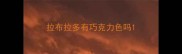 拉布拉多有巧克力色吗