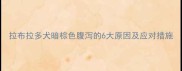 拉布拉多犬暗棕色腹泻的6大原因及应对措施