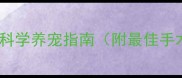 哈士奇绝育利弊全科学养宠指南附最佳手术方案与术后护理