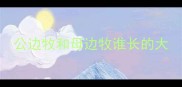 公边牧和母边牧谁长的大