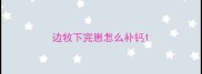 边牧下完崽怎么补钙