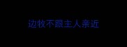 边牧不跟主人亲近