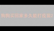 狗狗买回家多久能打疫苗