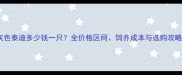 灰色泰迪多少钱一只全价格区间饲养成本与选购攻略
