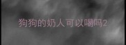 狗狗的奶人可以喝吗