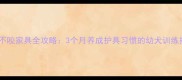 柯基不咬家具全攻略3个月养成护具习惯的幼犬训练指南