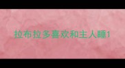拉布拉多喜欢和主人睡