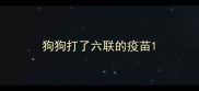 狗狗打了六联的疫苗