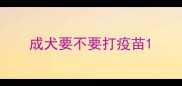 成犬要不要打疫苗