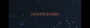 2岁拉布拉多犬呕吐