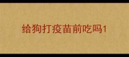 给狗打疫苗前吃吗