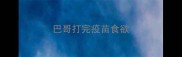 巴哥打完疫苗食欲