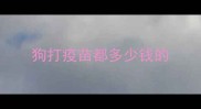 狗打疫苗都多少钱的